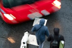 A red car narrowly misses two pedestrians and a dog crossing a wet street at a crosswalk.