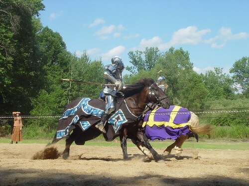 Michigan Renaissance Festival